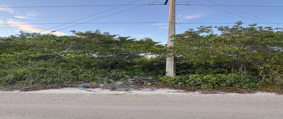 Foto de terreno habitacional en venta en  , sisal, hunucmá, yucatán, 28216000 No. 04