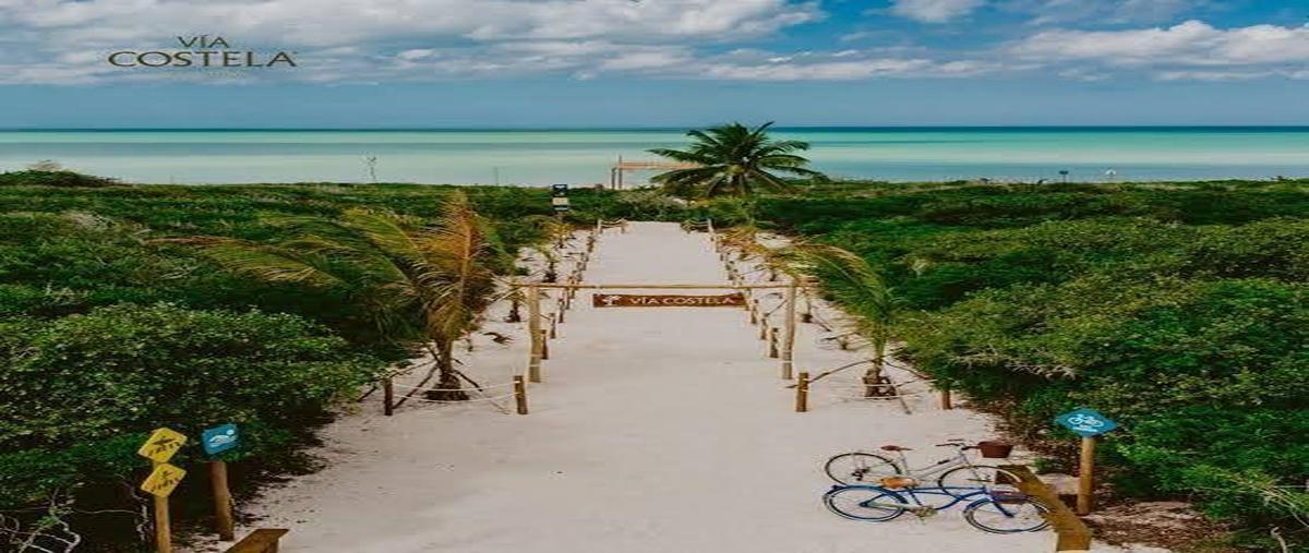 Foto de terreno habitacional en , sisal, hunucmá, yucatán, 0 foto 01 Foto de terreno habitacional en venta en , sisal, hunucmá, yucatán, 0 No. 01