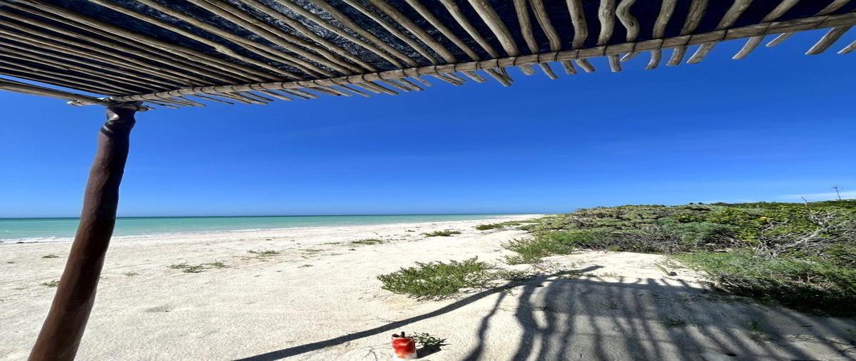 Foto de terreno habitacional en , sisal, hunucmá, yucatán, 0 foto 05 Foto de terreno habitacional en venta en , sisal, hunucmá, yucatán, 0 No. 05