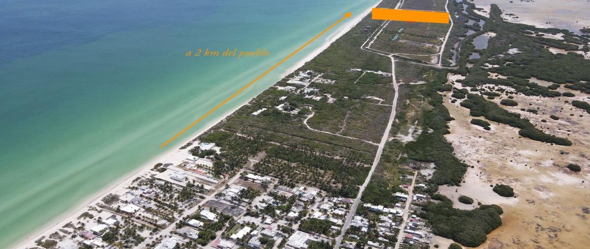 Foto de terreno habitacional en venta en  , sisal, hunucmá, yucatán, 28451969 No. 03