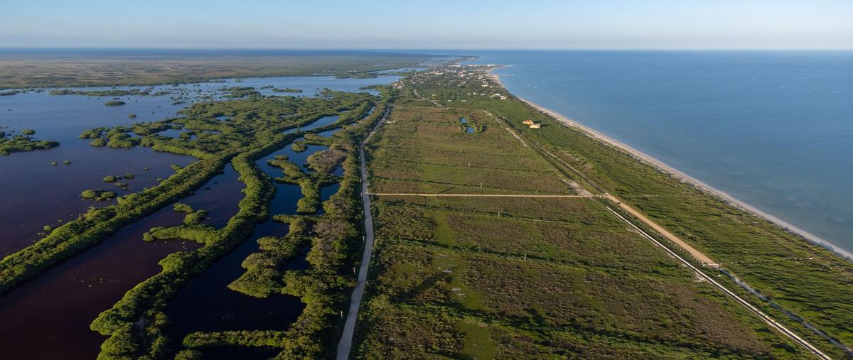 Foto de terreno habitacional en venta en  , sisal, hunucmá, yucatán, 28451969 No. 05