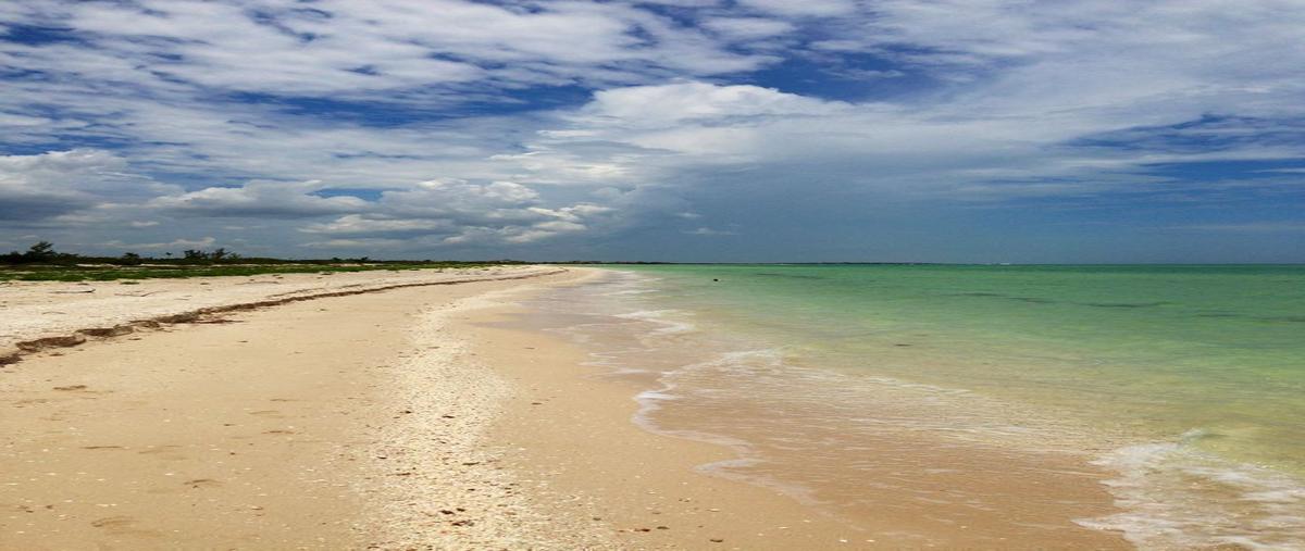 Foto de terreno habitacional en venta en  , sisal, hunucmá, yucatán, 28452224 No. 04