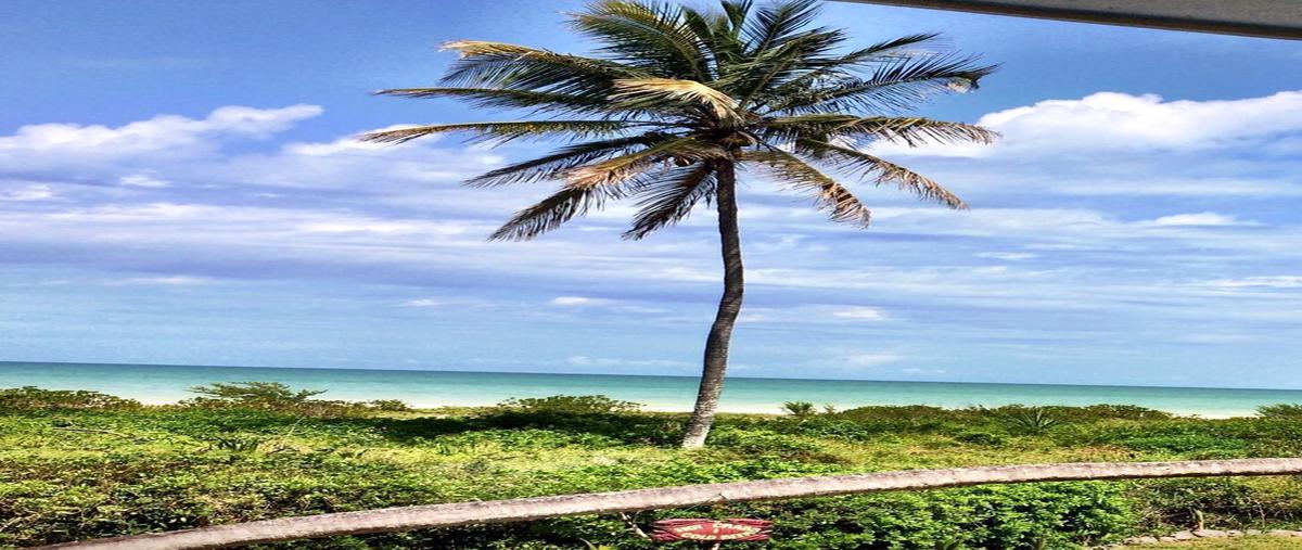 Foto de terreno habitacional en venta en  , sisal, hunucmá, yucatán, 28452224 No. 05