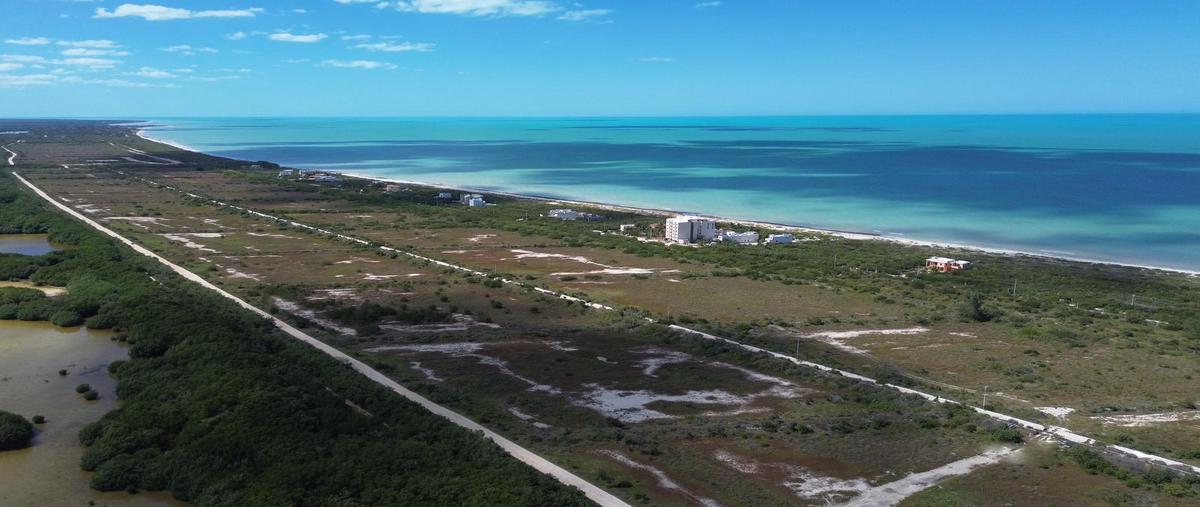 Foto de terreno habitacional en venta en  , sisal, hunucmá, yucatán, 0 No. 03