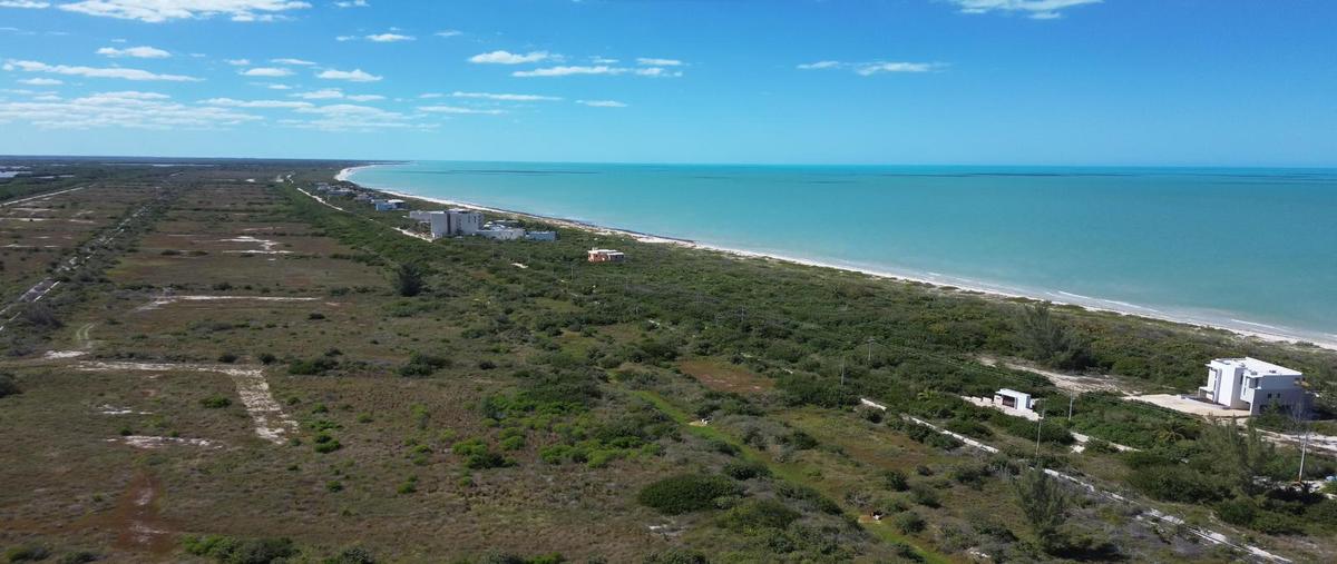 Foto de terreno habitacional en venta en  , sisal, hunucmá, yucatán, 0 No. 05