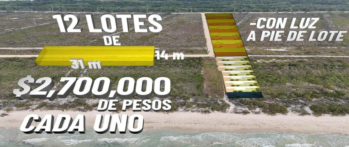 Foto de terreno habitacional en , sisal, hunucmá, yucatán, 0 foto 02 Foto de terreno habitacional en venta en , sisal, hunucmá, yucatán, 0 No. 02