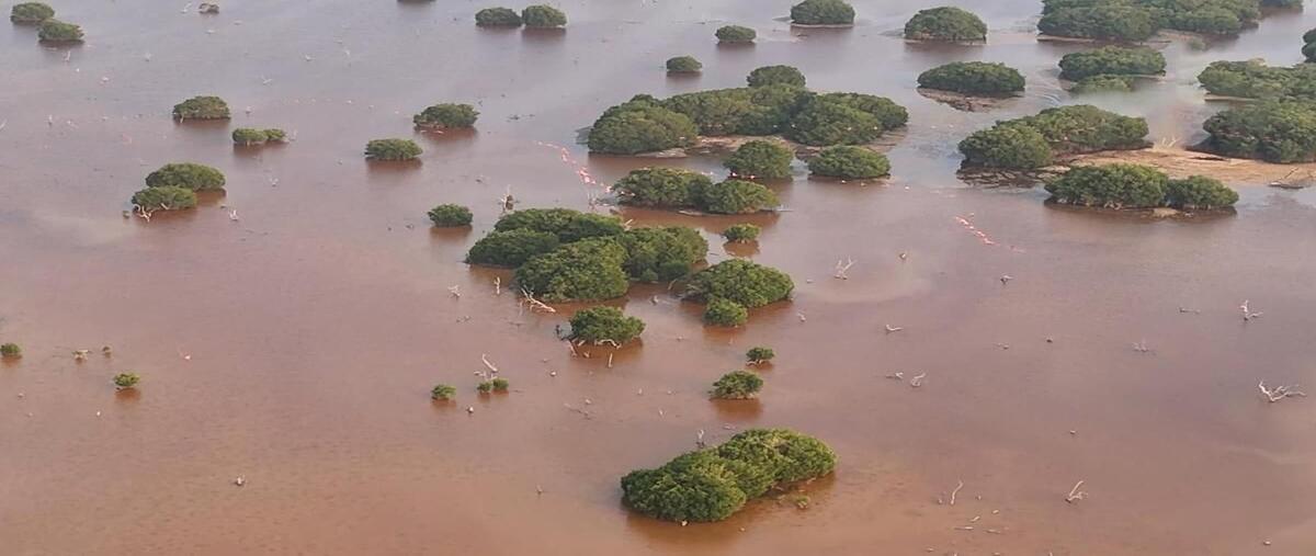 Foto de terreno habitacional en , sisal, hunucmá, yucatán, 0 foto 04 Foto de terreno habitacional en venta en , sisal, hunucmá, yucatán, 0 No. 04