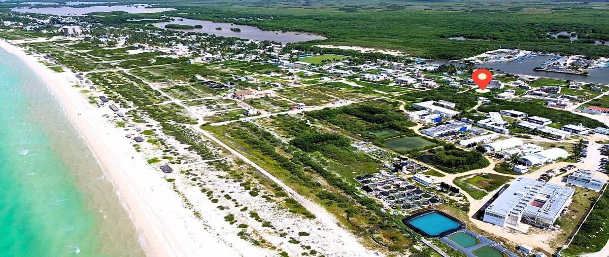 Foto de terreno habitacional en venta en  , sisal, hunucmá, yucatán, 0 No. 03