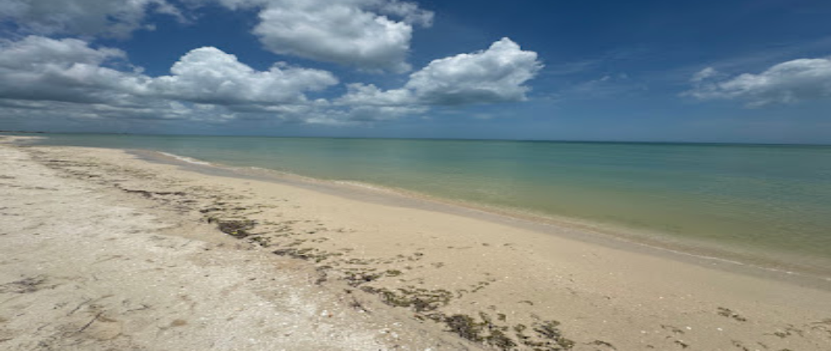 Foto de terreno habitacional en venta en  , sisal, hunucmá, yucatán, 29027708 No. 03