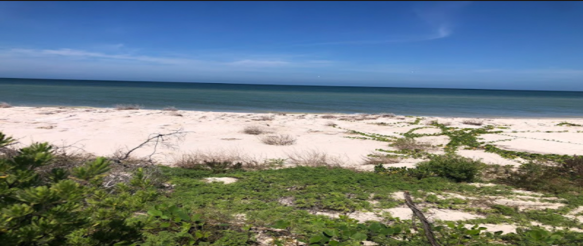 Foto de terreno habitacional en venta en  , sisal, hunucmá, yucatán, 29027708 No. 05