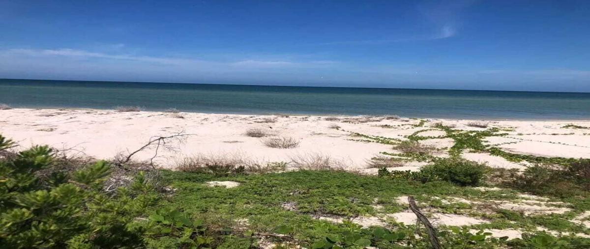 Foto de terreno habitacional en venta en  , sisal, hunucmá, yucatán, 0 No. 03