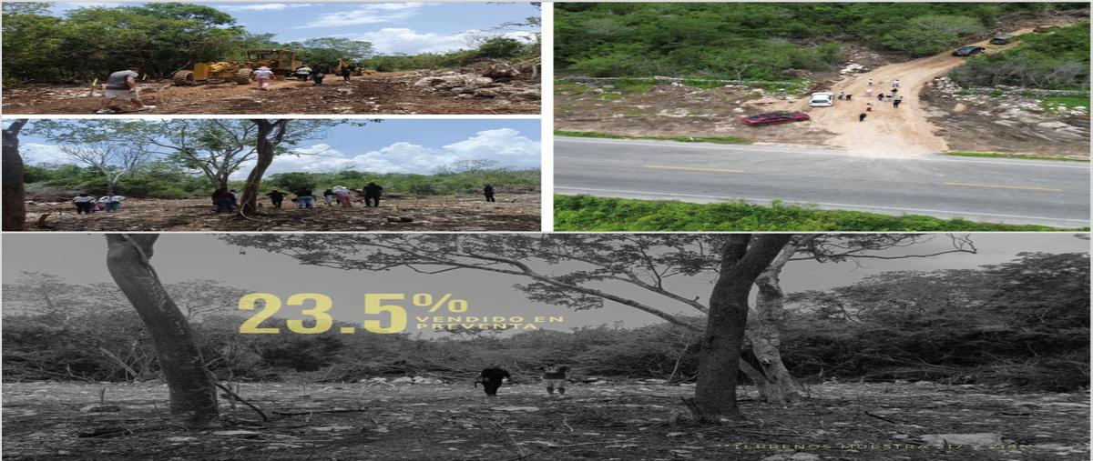 Foto de terreno habitacional en venta en  , sisal, hunucmá, yucatán, 0 No. 03