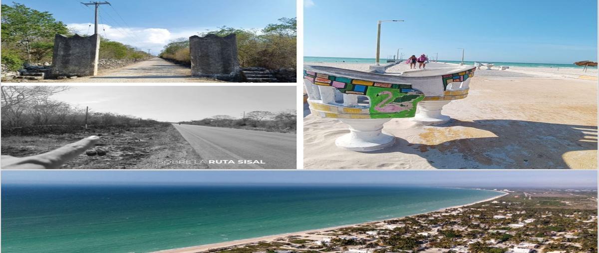 Foto de terreno habitacional en venta en  , sisal, hunucmá, yucatán, 0 No. 05