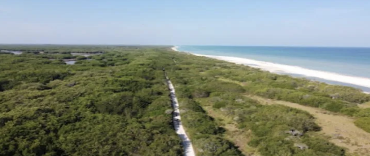 Foto de terreno habitacional en venta en  , sisal, hunucmá, yucatán, 0 No. 03