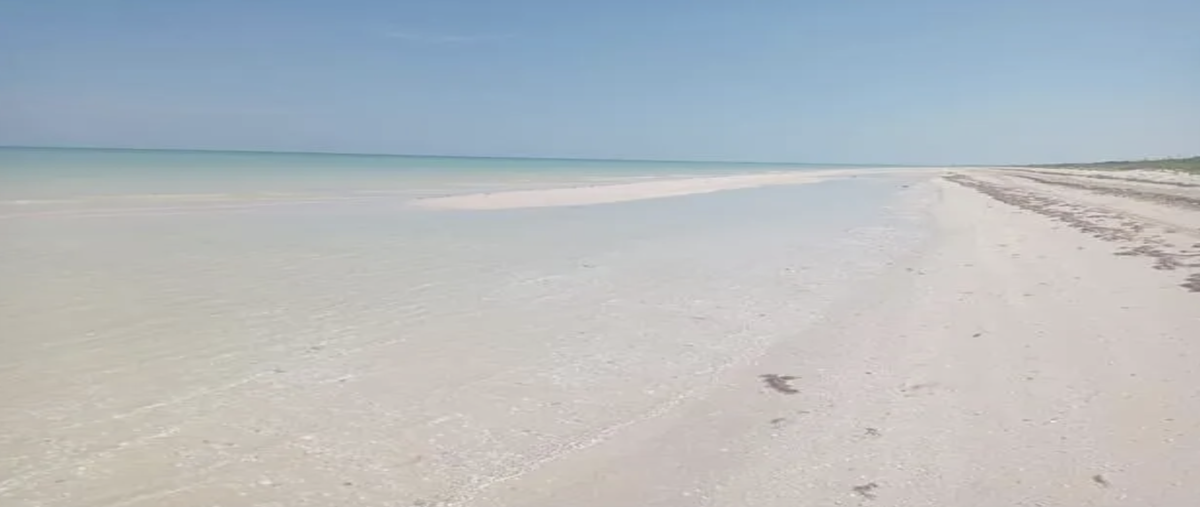 Foto de terreno habitacional en venta en  , sisal, hunucmá, yucatán, 0 No. 05