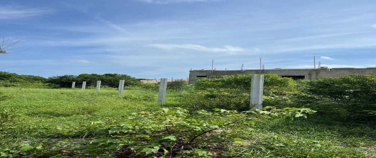 Foto de terreno habitacional en venta en  , sisal, hunucmá, yucatán, 0 No. 03