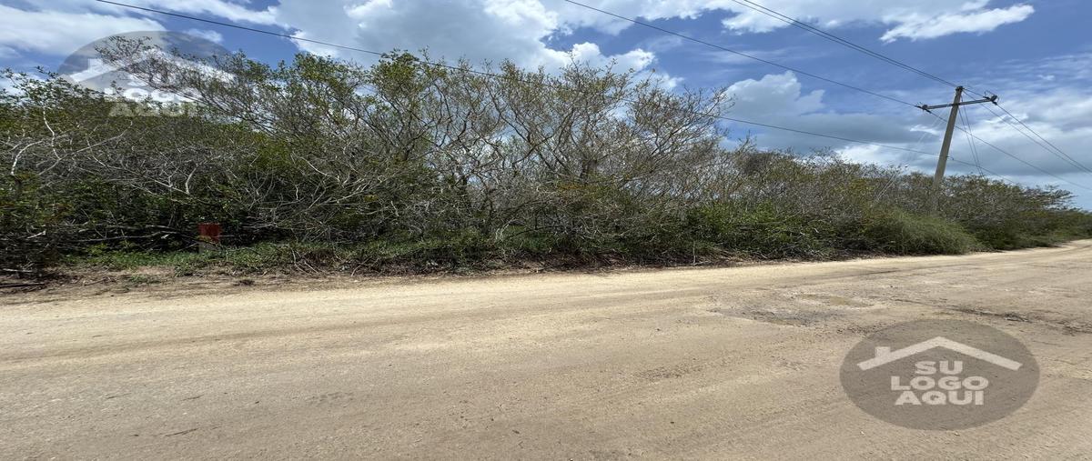 Foto de terreno habitacional en venta en  , sisal, hunucmá, yucatán, 29335888 No. 03