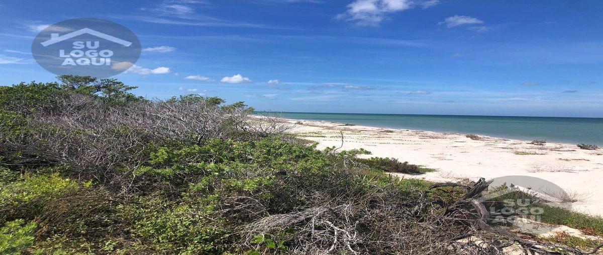 Foto de terreno habitacional en venta en  , sisal, hunucmá, yucatán, 29335890 No. 03