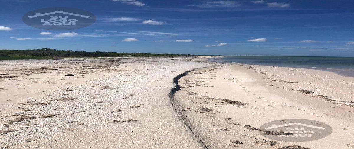 Foto de terreno habitacional en venta en  , sisal, hunucmá, yucatán, 29335890 No. 04