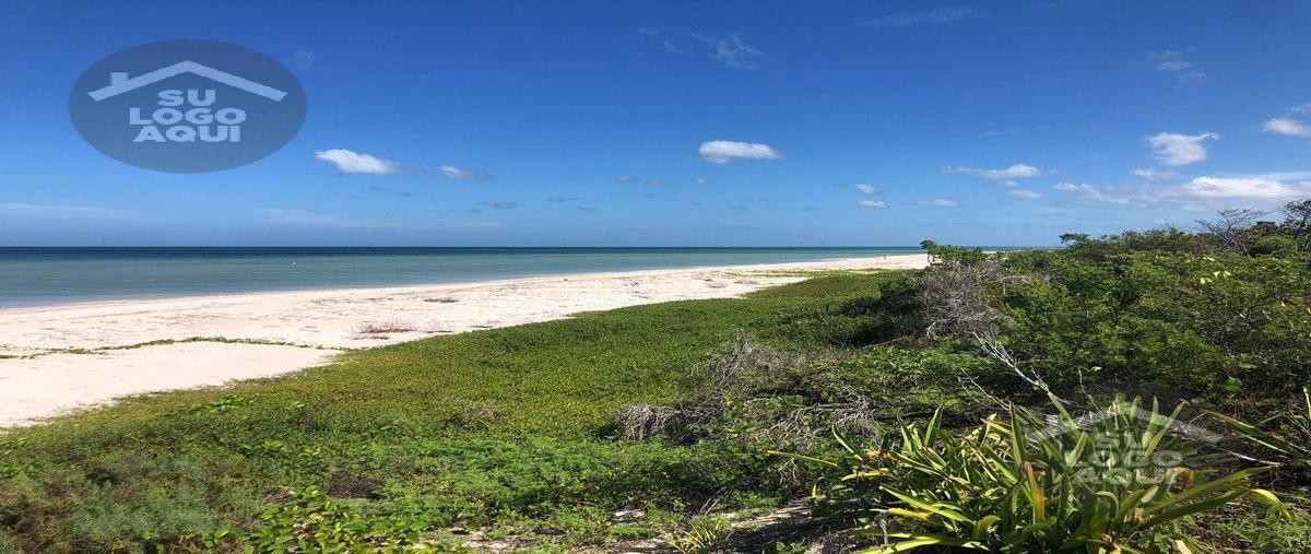 Foto de terreno habitacional en venta en  , sisal, hunucmá, yucatán, 29335890 No. 05