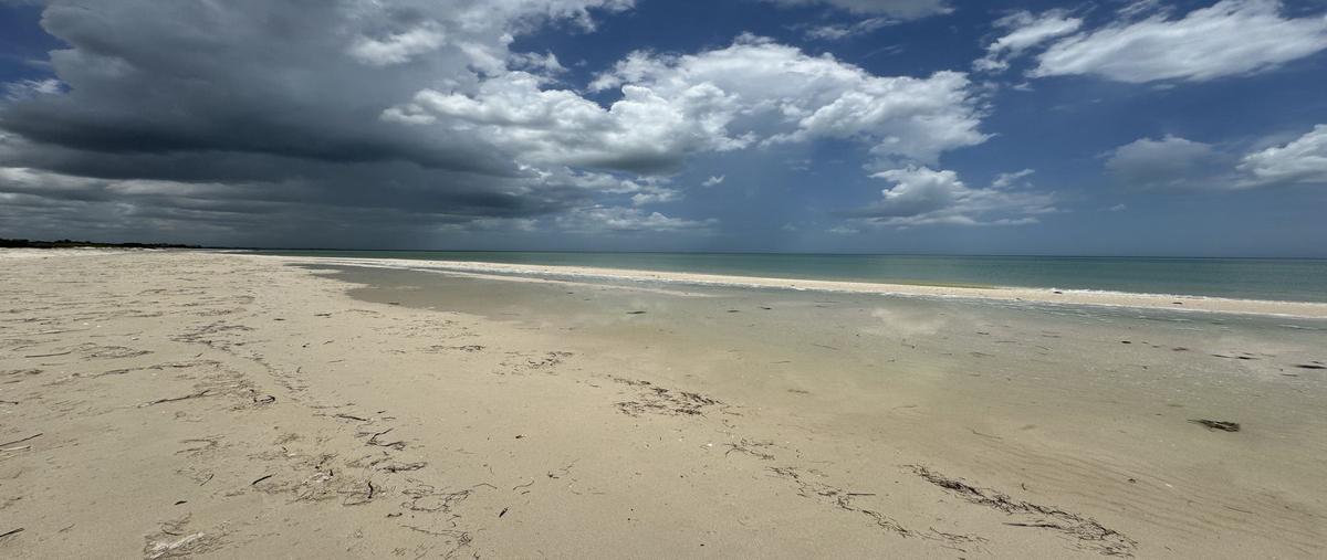 Foto de terreno habitacional en venta en  , sisal, hunucmá, yucatán, 0 No. 05