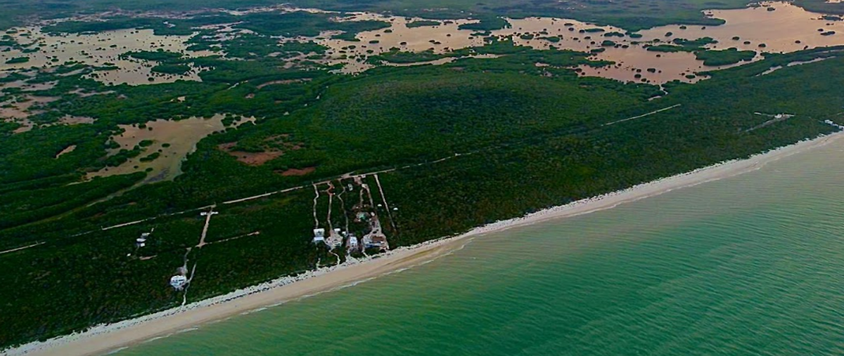 Foto de terreno habitacional en , sisal, hunucmá, yucatán, 0 foto 02 Foto de terreno habitacional en venta en , sisal, hunucmá, yucatán, 0 No. 02