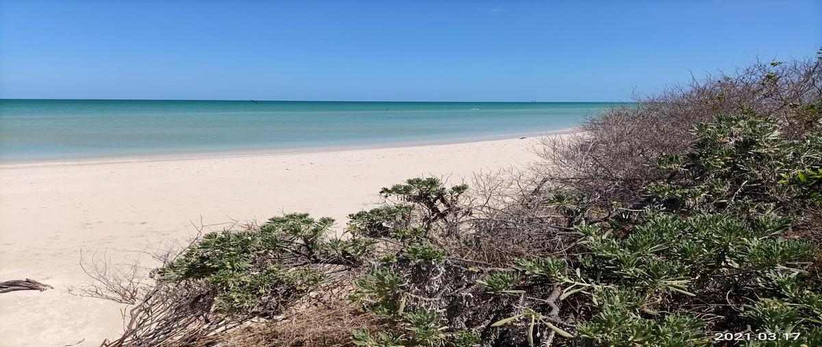 Foto de terreno habitacional en venta en  , sisal, hunucmá, yucatán, 0 No. 03