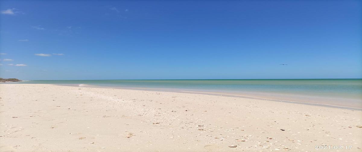 Foto de terreno habitacional en venta en  , sisal, hunucmá, yucatán, 0 No. 04