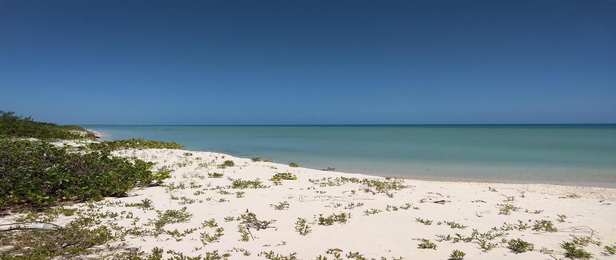 Foto de terreno habitacional en venta en  , sisal, hunucmá, yucatán, 0 No. 05