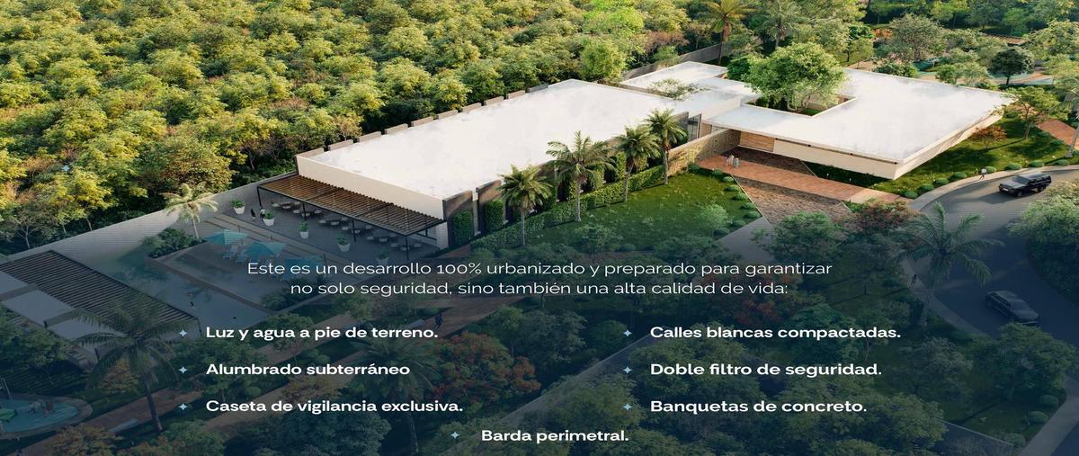 Foto de terreno habitacional en venta en  , sisal, hunucmá, yucatán, 0 No. 04