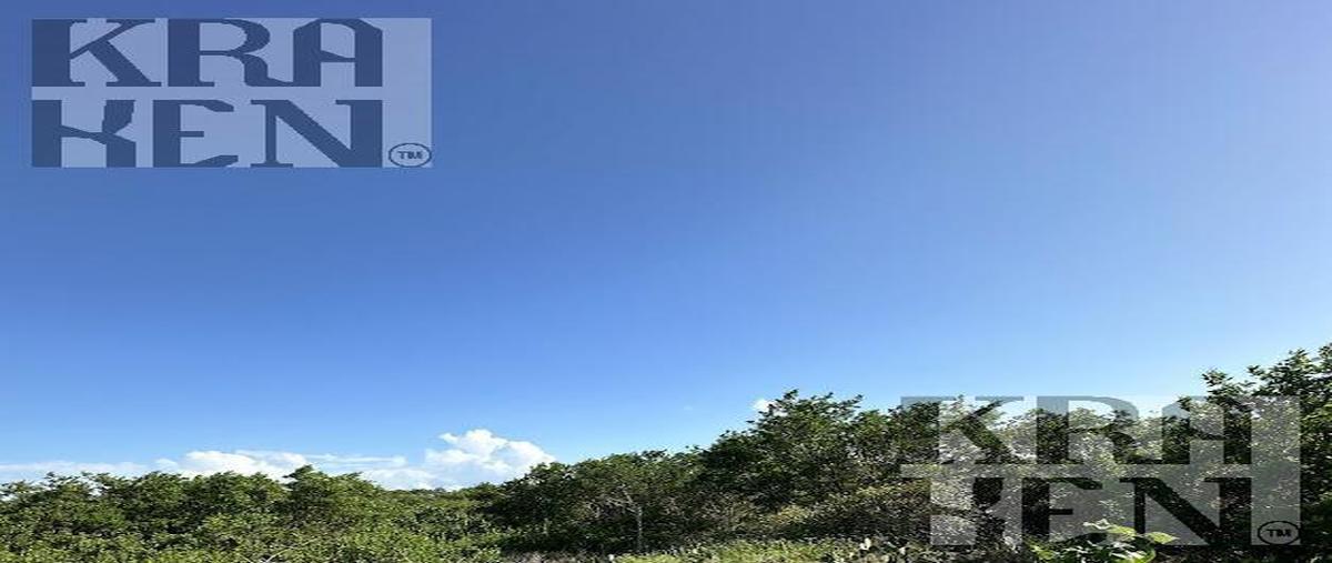 Foto de terreno habitacional en venta en  , sisal, hunucmá, yucatán, 30076476 No. 03