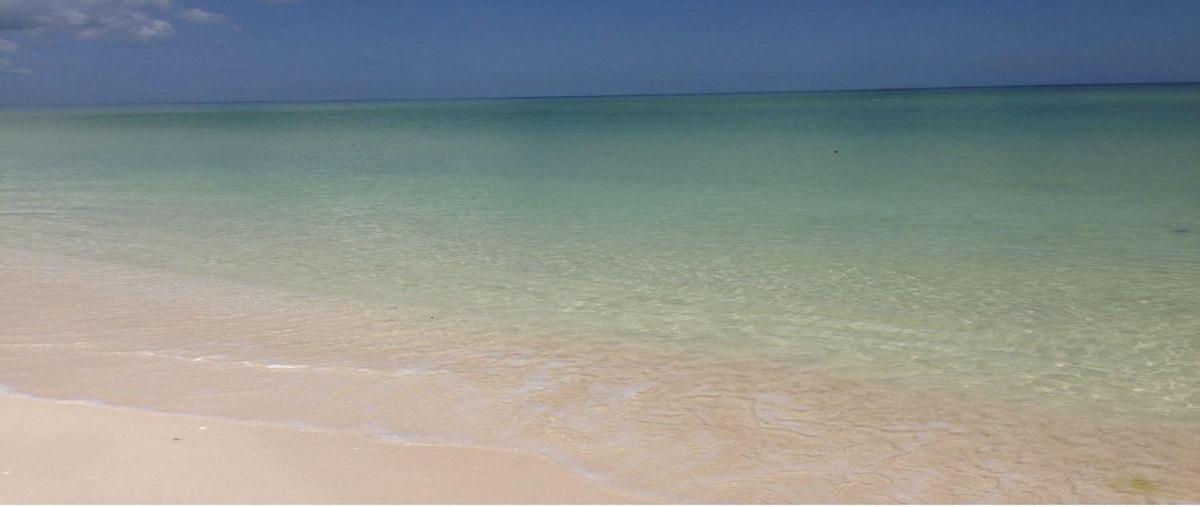 Foto de terreno habitacional en venta en  , sisal, hunucmá, yucatán, 30147270 No. 03