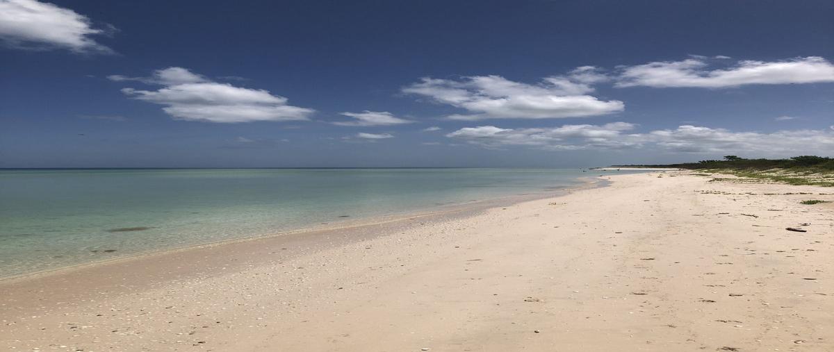 Foto de terreno habitacional en venta en  , sisal, hunucmá, yucatán, 0 No. 03