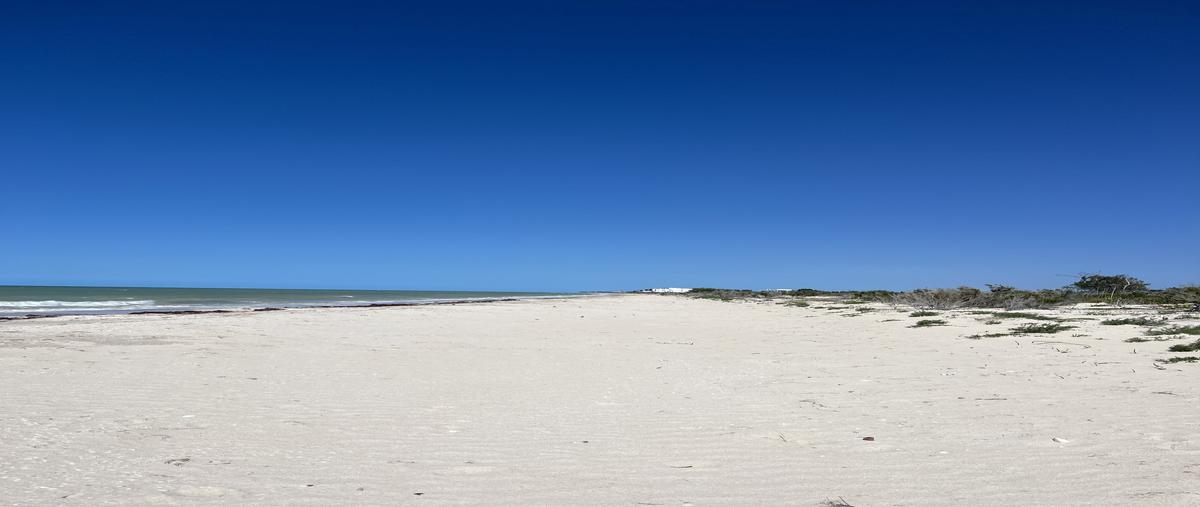 Foto de terreno habitacional en , sisal, hunucmá, yucatán, 30193891 foto 04 Foto de terreno habitacional en venta en , sisal, hunucmá, yucatán, 30193891 No. 04