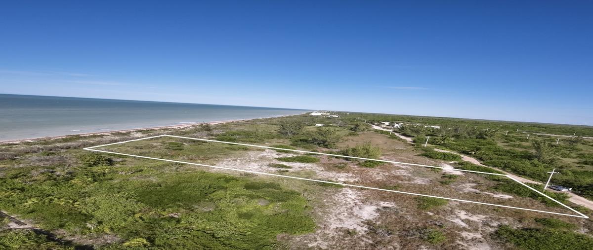 Foto de terreno habitacional en , sisal, hunucmá, yucatán, 30193891 foto 05 Foto de terreno habitacional en venta en , sisal, hunucmá, yucatán, 30193891 No. 05
