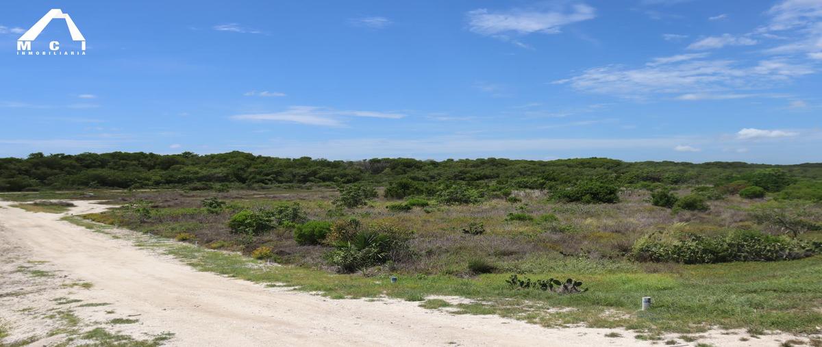 Foto de terreno habitacional en venta en  , sisal, hunucmá, yucatán, 30328750 No. 05