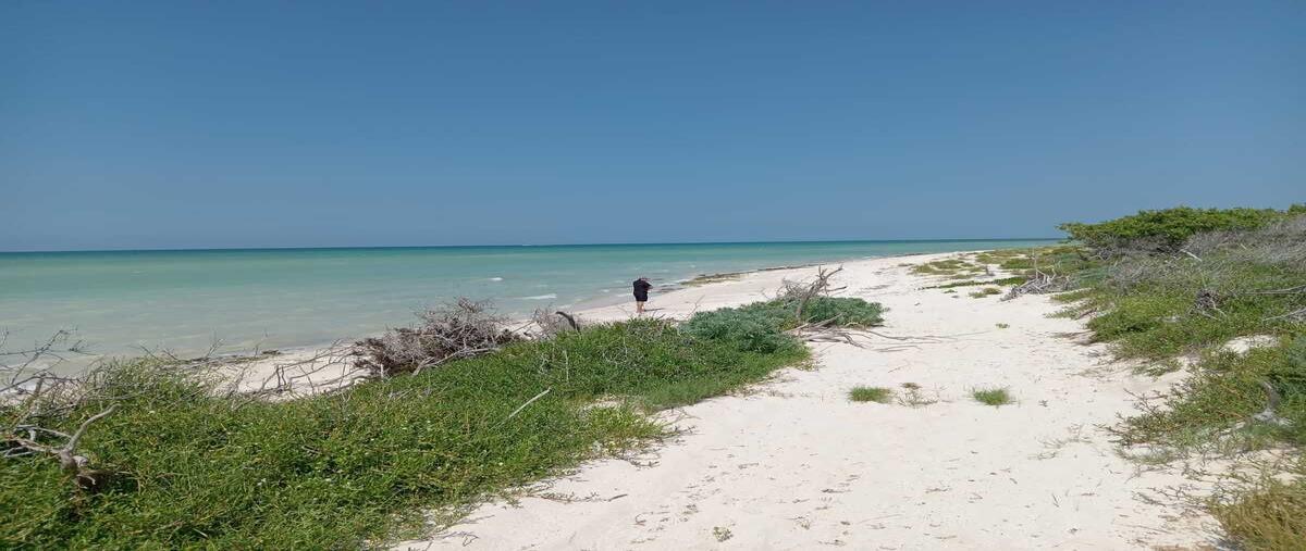 Foto de terreno habitacional en venta en . , sisal, hunucmá, yucatán, 30428424 No. 05
