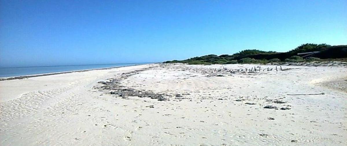 Foto de terreno habitacional en venta en  , sisal, hunucmá, yucatán, 0 No. 03