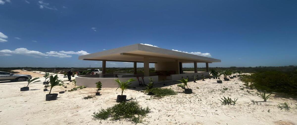 Foto de terreno habitacional en venta en  , sisal, hunucmá, yucatán, 0 No. 04