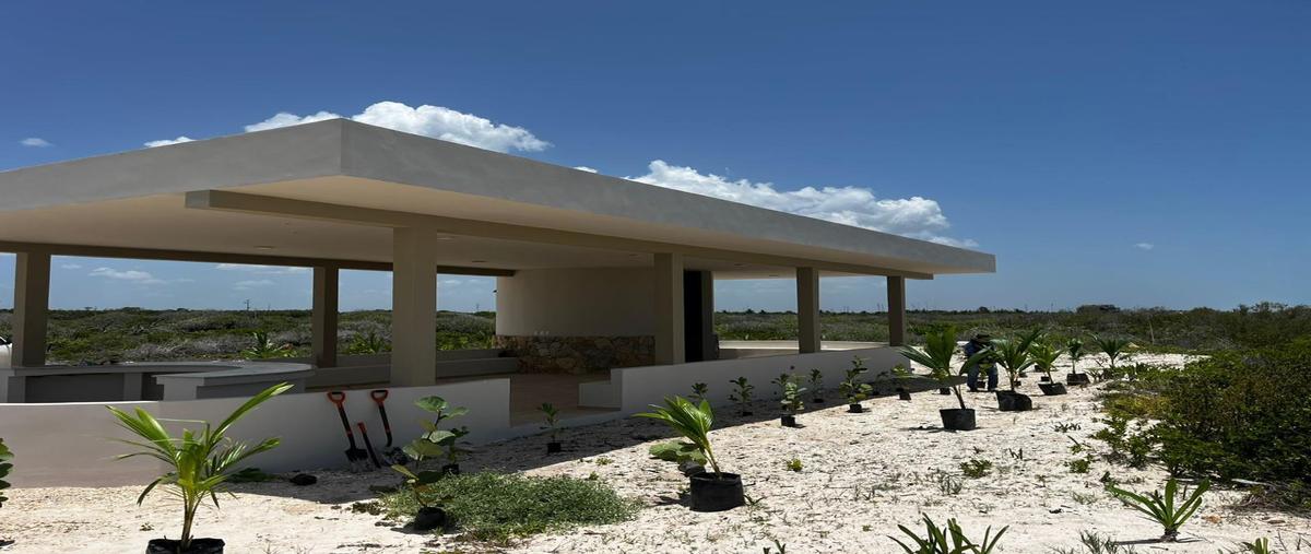 Foto de terreno habitacional en venta en  , sisal, hunucmá, yucatán, 0 No. 03