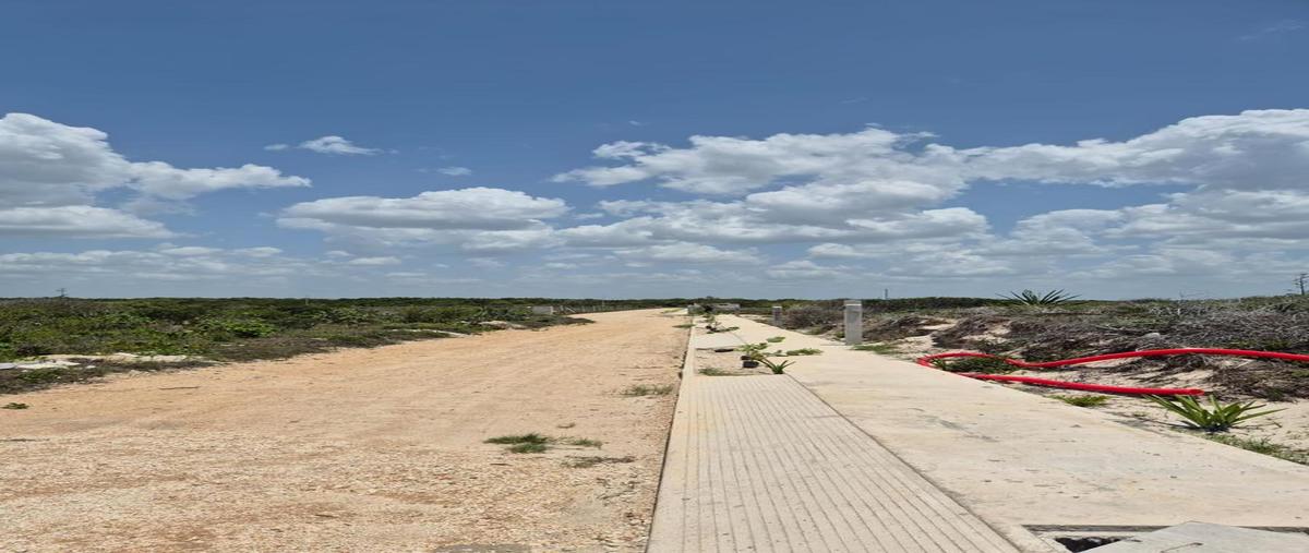 Foto de terreno habitacional en venta en  , sisal, hunucmá, yucatán, 0 No. 05