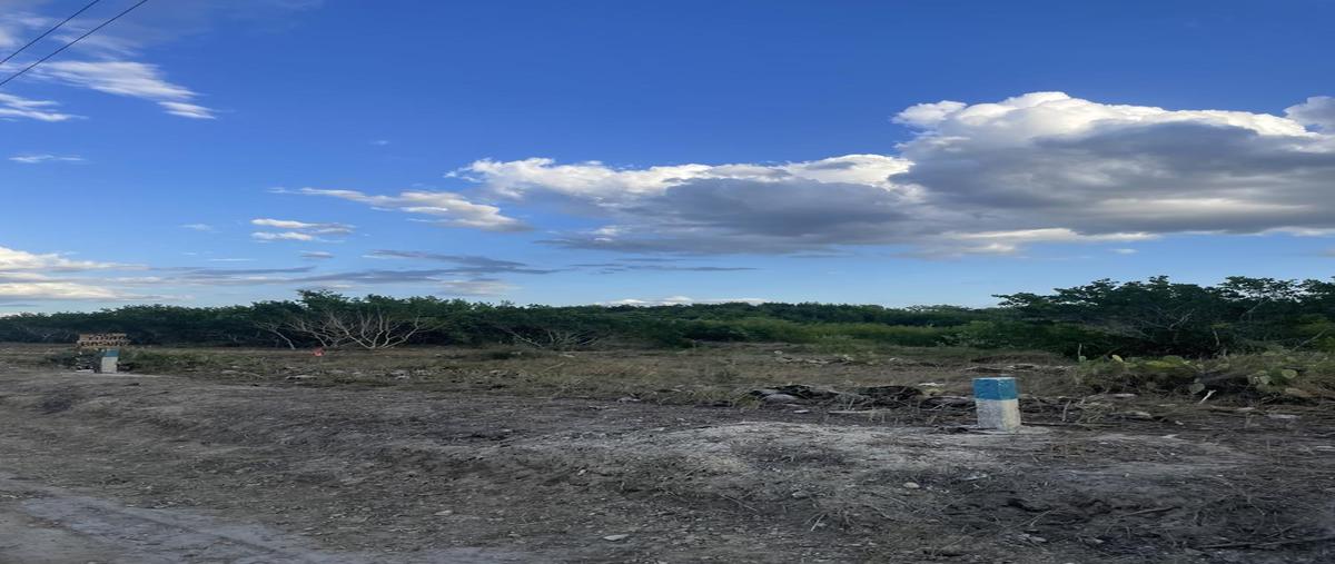 Foto de terreno habitacional en venta en  , sisal, hunucmá, yucatán, 0 No. 03
