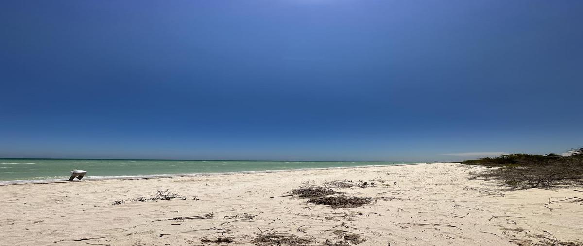 Foto de terreno habitacional en venta en  , sisal, hunucmá, yucatán, 30658006 No. 04