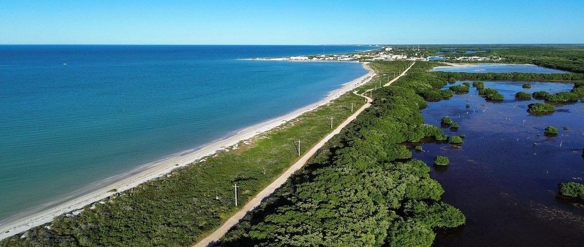 Foto de terreno habitacional en , sisal, hunucmá, yucatán, 0 foto 03 Foto de terreno habitacional en venta en , sisal, hunucmá, yucatán, 0 No. 03
