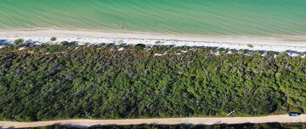 Foto de terreno habitacional en , sisal, hunucmá, yucatán, 0 foto 04 Foto de terreno habitacional en venta en , sisal, hunucmá, yucatán, 0 No. 04