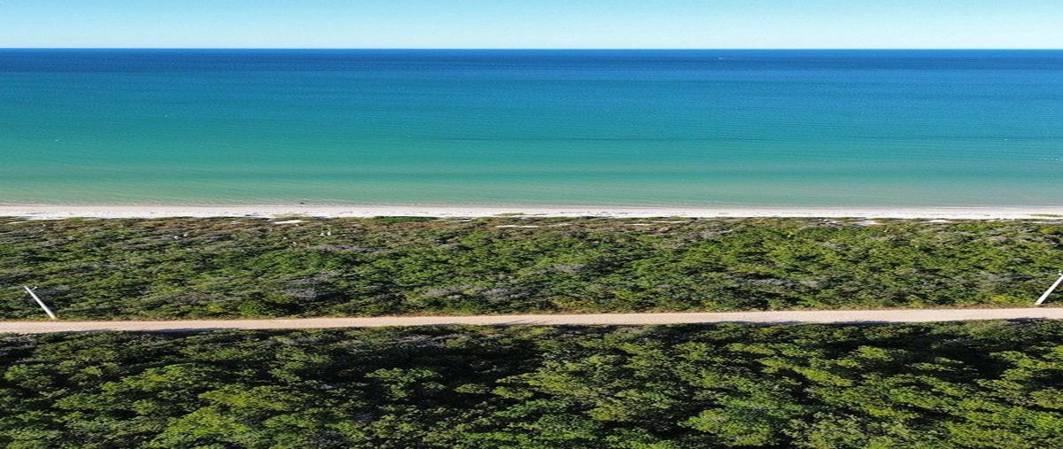 Foto de terreno habitacional en venta en  , sisal, hunucmá, yucatán, 30698636 No. 03