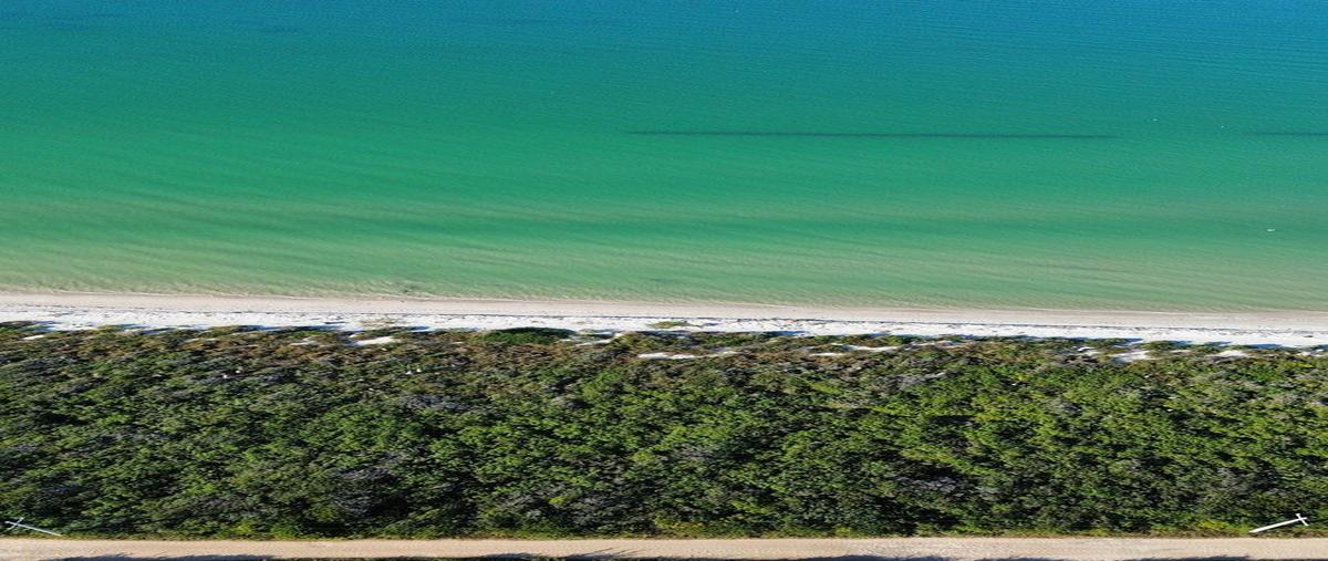 Foto de terreno habitacional en venta en  , sisal, hunucmá, yucatán, 30698636 No. 04