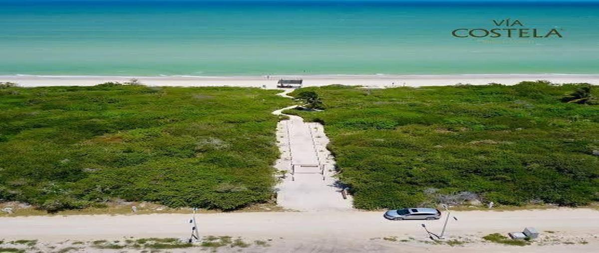 Foto de terreno habitacional en venta en  , sisal, hunucmá, yucatán, 0 No. 03