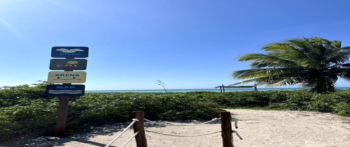Foto de terreno habitacional en venta en  , sisal, hunucmá, yucatán, 0 No. 04