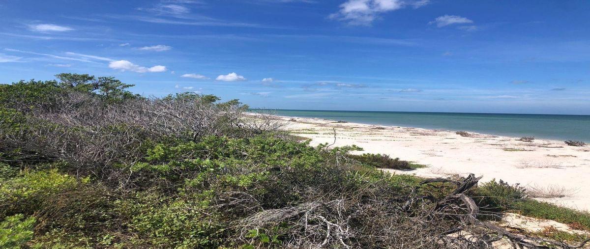 Foto de terreno habitacional en venta en  , sisal, hunucmá, yucatán, 30711222 No. 03